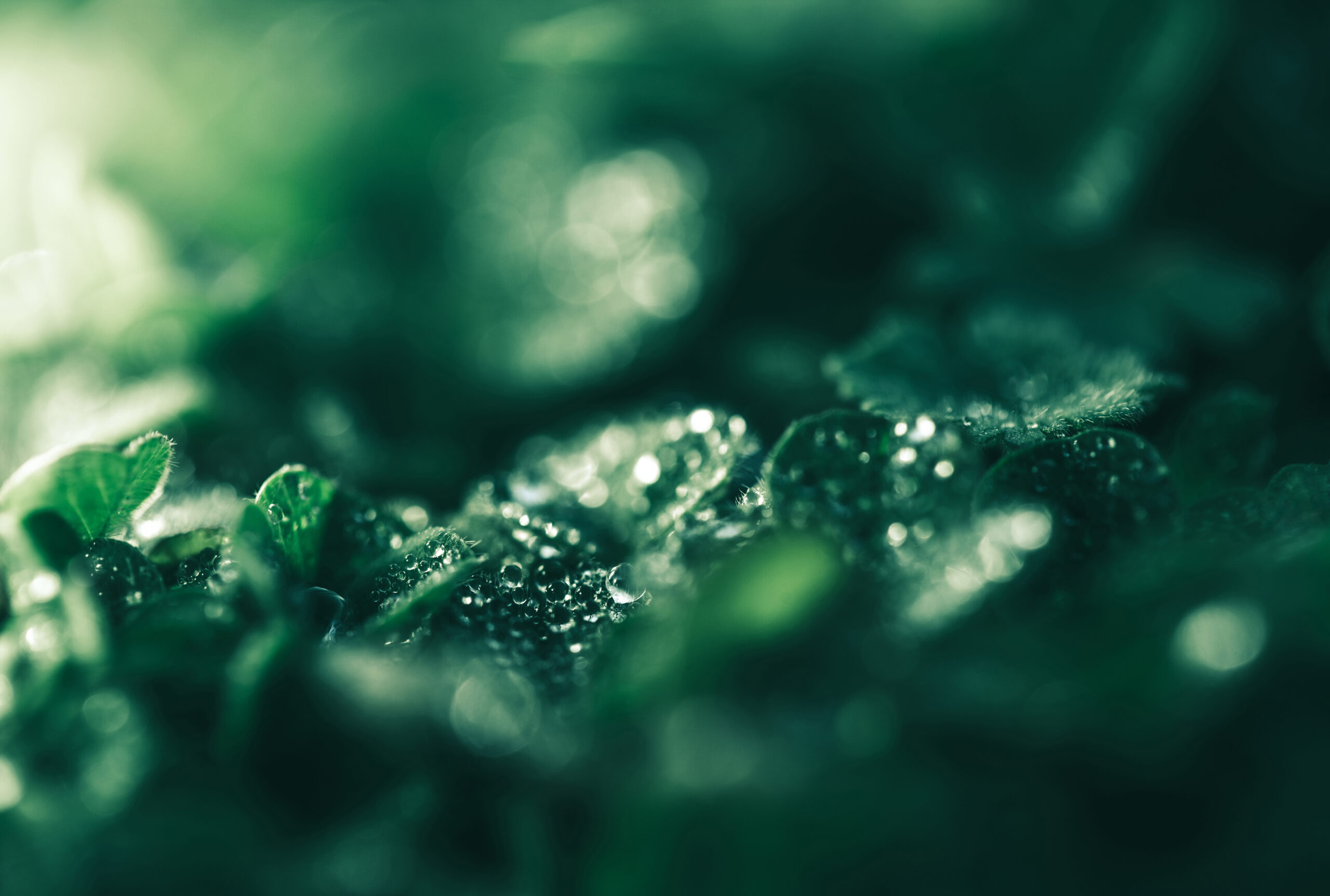 Ansøgningsrunde for vedvarende energi afsluttet – GEV’s projekt ikke blandt de udvalgte